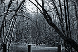 Bernhard Saalfeld - DSC00469 -1
